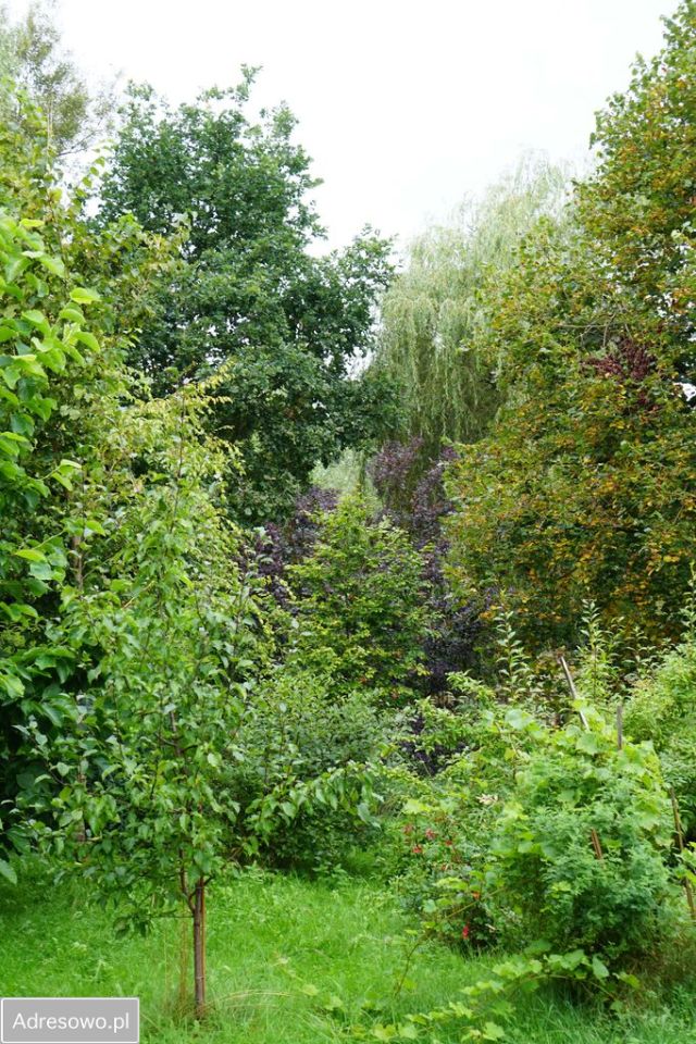 dom wolnostojący, 5 pokoi Radogoszcz. Zdjęcie 7