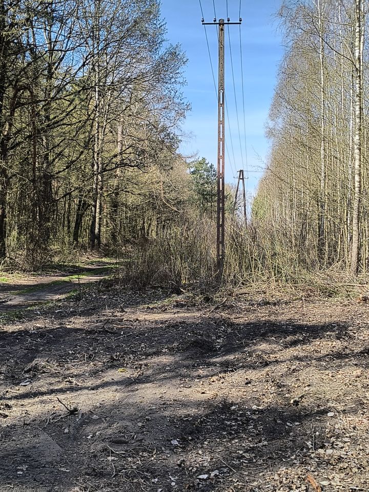 Działka rolno-budowlana Tarło-Kolonia. Zdjęcie 4