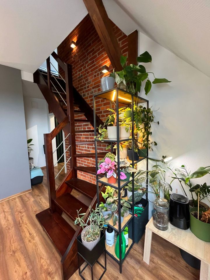 Mieszkanie 5-pokojowe Opole Zaodrze. Zdjęcie 5