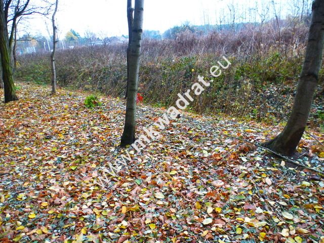 Działka inwestycyjna Otrębusy. Zdjęcie 3