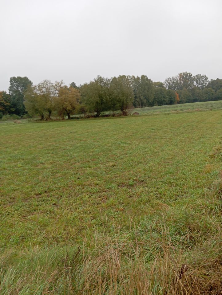 Działka budowlana Tomaszewo. Zdjęcie 1