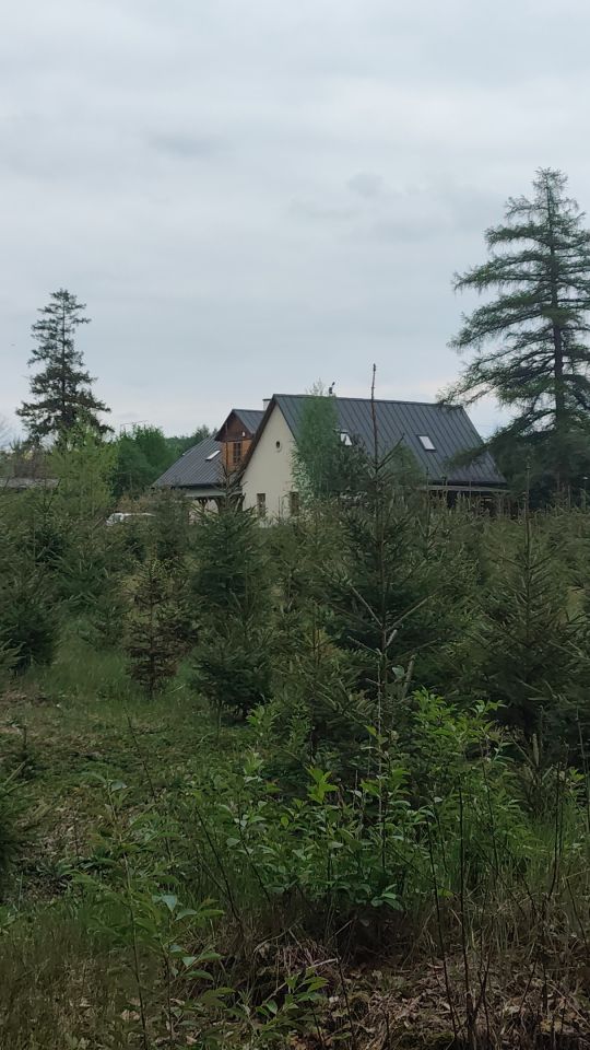 budynek wielorodzinny, 9 pokoi Panasówka. Zdjęcie 3