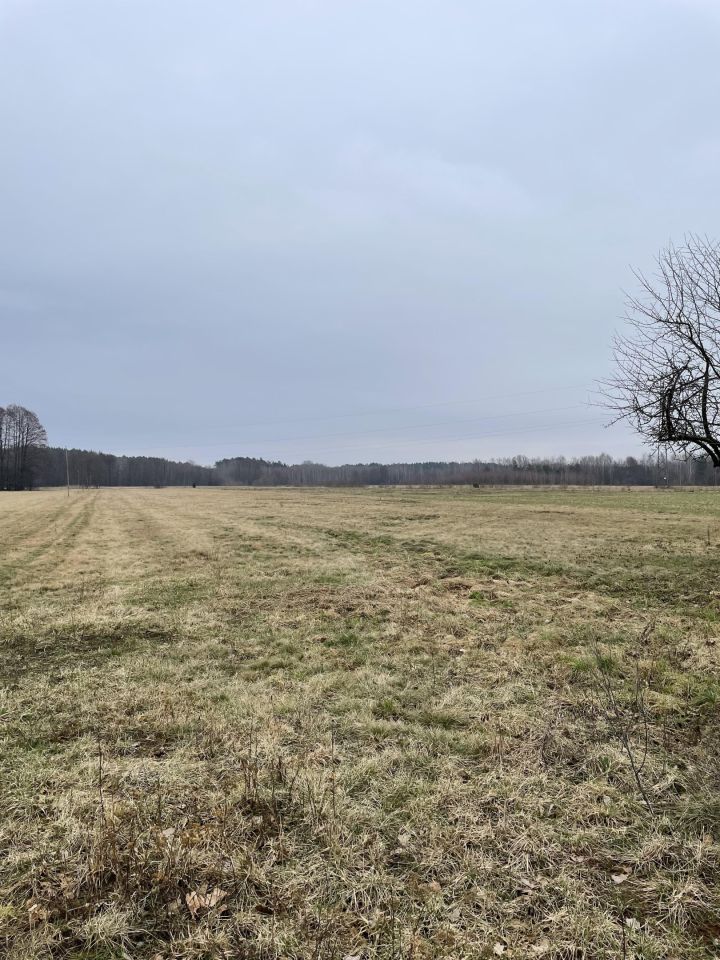 Działka budowlana Kaliska. Zdjęcie 3