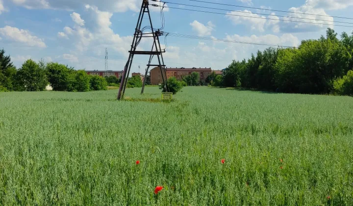 Działka inwestycyjna Opoczno, ul. Graniczna