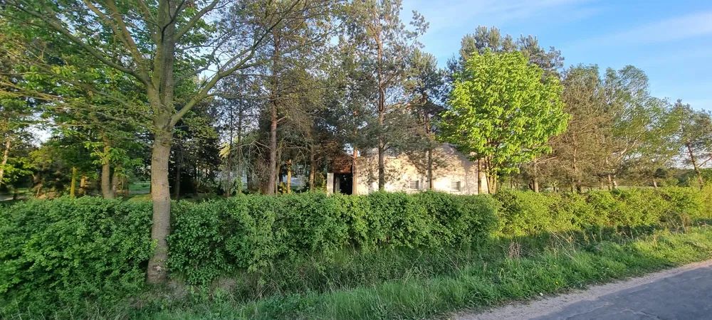 dom wolnostojący, 4 pokoje Broniszewice. Zdjęcie 6