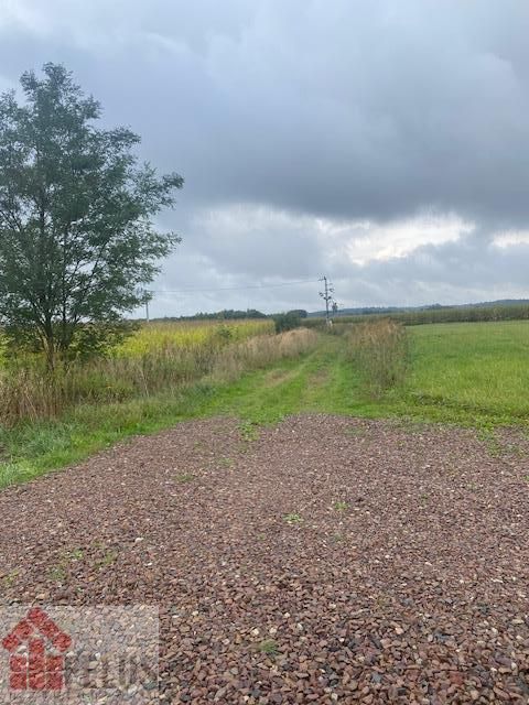 Działka inwestycyjna Rybna, ul. Storczykowa. Zdjęcie 10