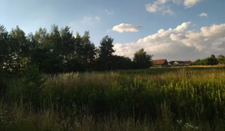 Działka budowlana Nowy Dwór, ul. Porzeczkowa