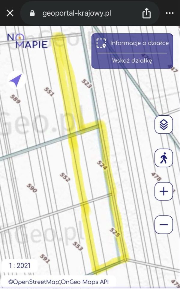 Działka rolno-budowlana Domanice. Zdjęcie 2