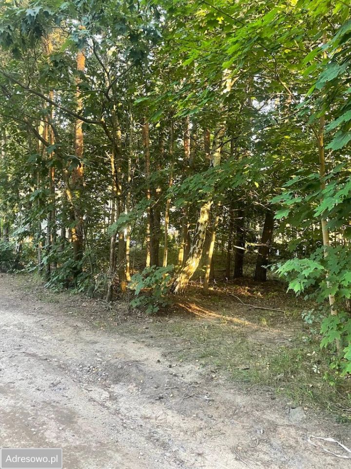 Działka budowlana Żarki-Letnisko, ul. Podleśna. Zdjęcie 4