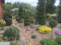 Lokal Niechorz. Zdjęcie 4