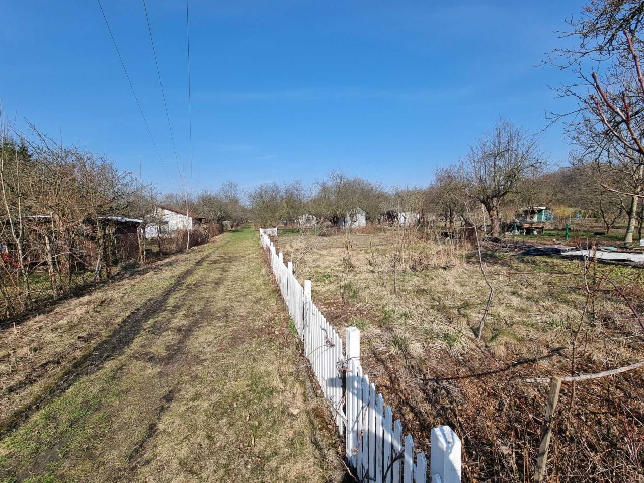 Działka rod Wrocław Psie Pole, ul. Sołtysowicka. Zdjęcie 1