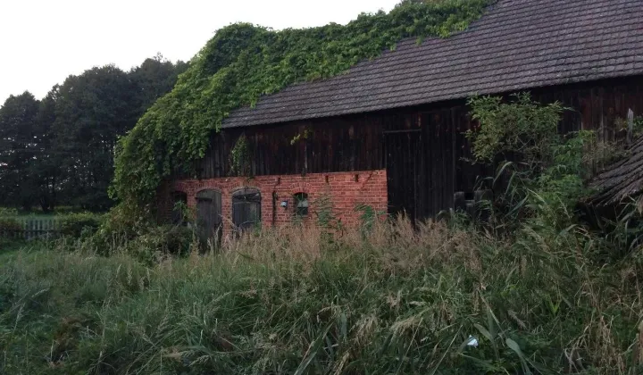 Działka rolno-budowlana Bagniewo