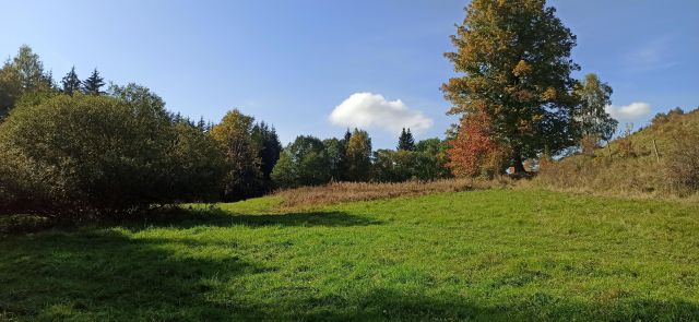 Działka siedliskowa Ludwikowice Kłodzkie Sowina, ul. Kopalniana. Zdjęcie 1