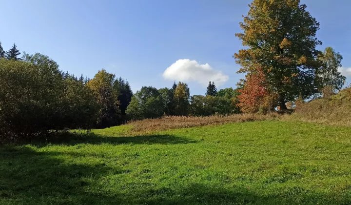 Działka siedliskowa Ludwikowice Kłodzkie Sowina, ul. Kopalniana