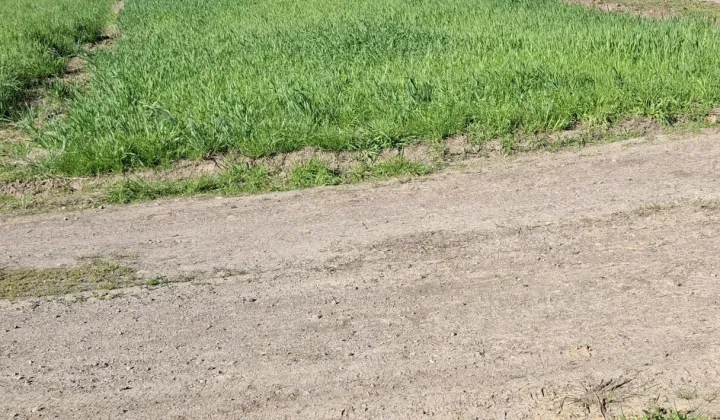 Działka rolno-budowlana Łańcut Kąty, ul. Kąty