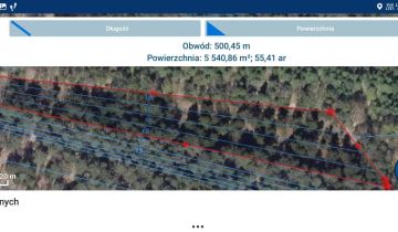 Działka leśna Dziurów