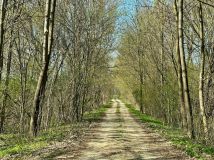 Działka budowlana Kuflew. Zdjęcie 4