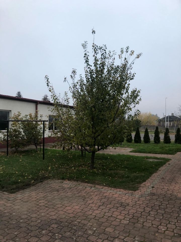 dom wolnostojący, 8 pokoi Olszewo-Borki, ul. Warszawska. Zdjęcie 16