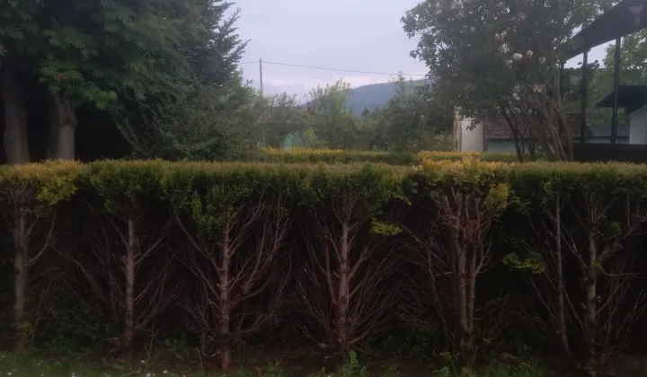 Działka rod Ustroń