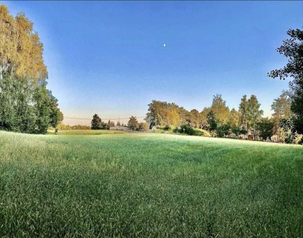 Działka budowlana Zgorzałe. Zdjęcie 1