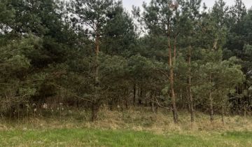 Działka rolna Budzyń