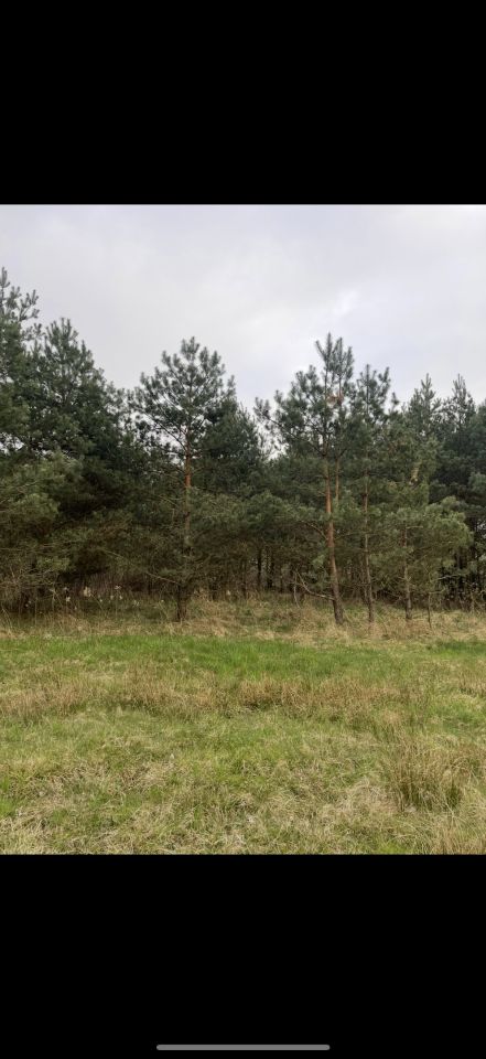 Działka rolna Budzyń. Zdjęcie 2