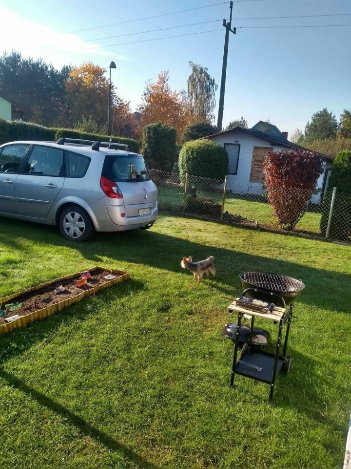 Działka rod Kajetany. Zdjęcie 8