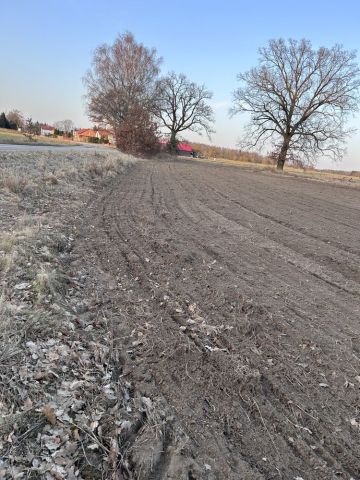 Działka rolno-budowlana Łosośnica. Zdjęcie 1