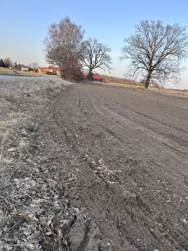 Działka rolno-budowlana Łosośnica. Zdjęcie 1