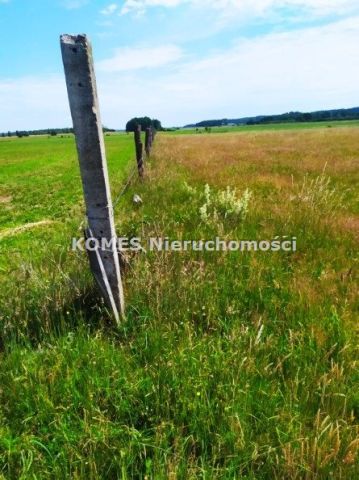 Działka rolna Jonkowo. Zdjęcie 4
