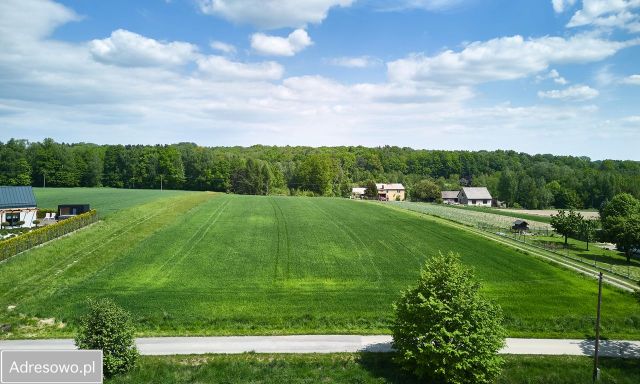 Działka budowlana Roztropice. Zdjęcie 3