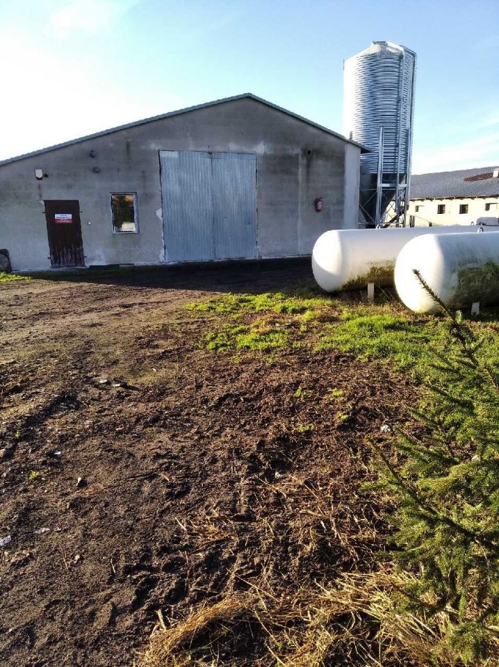 dom wolnostojący, 7 pokoi Bieżuń, ul. Prosta. Zdjęcie 2