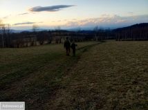 Działka rolna Konradów. Zdjęcie 2