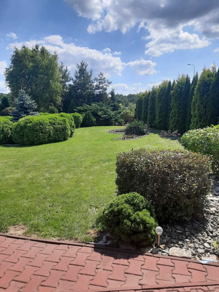 Działka rod Zabrze. Zdjęcie 5