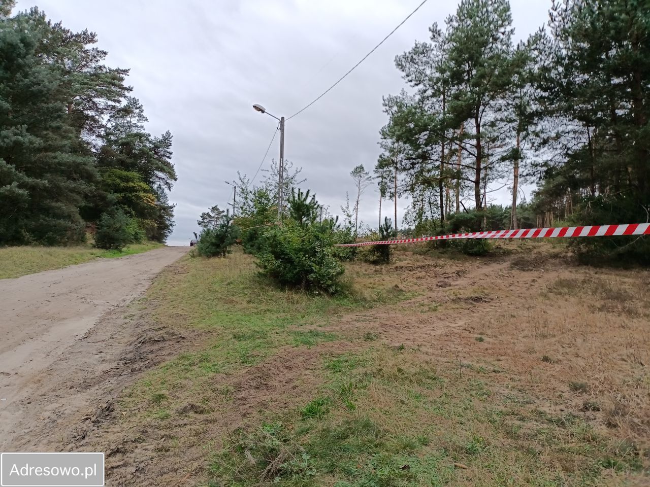 Działka siedliskowa Daszewice, ul. Piotrowska