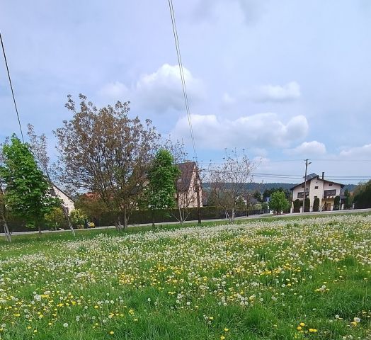 Działka budowlana Nowy Sącz, ul. Gajowa. Zdjęcie 1