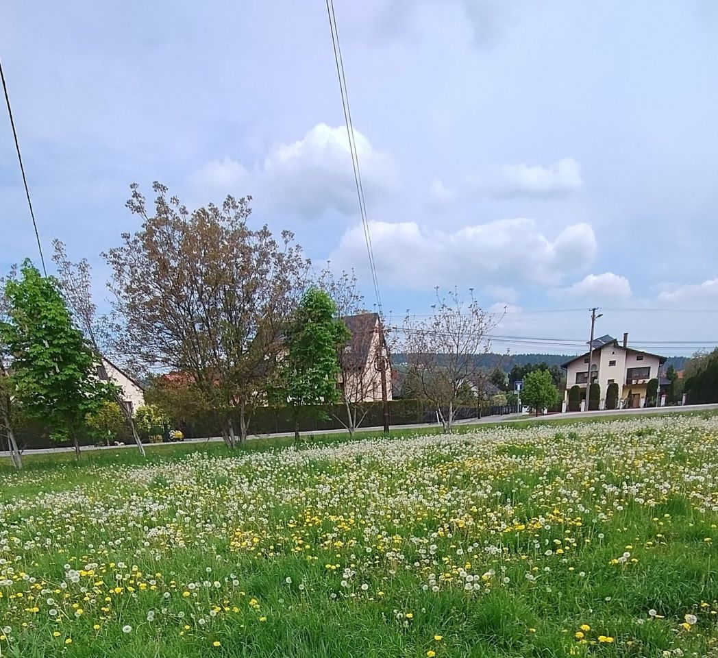 Działka budowlana Nowy Sącz, ul. Gajowa