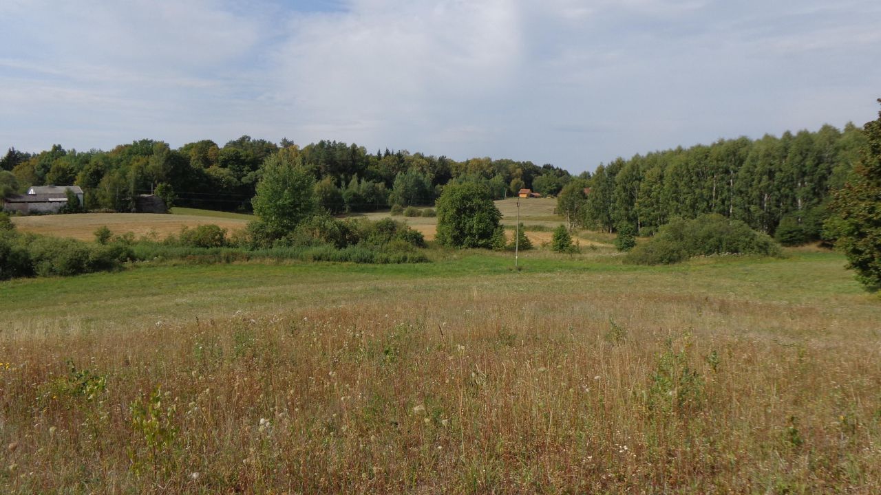 Działka budowlana Jędrychowo Rodowo. Zdjęcie 4