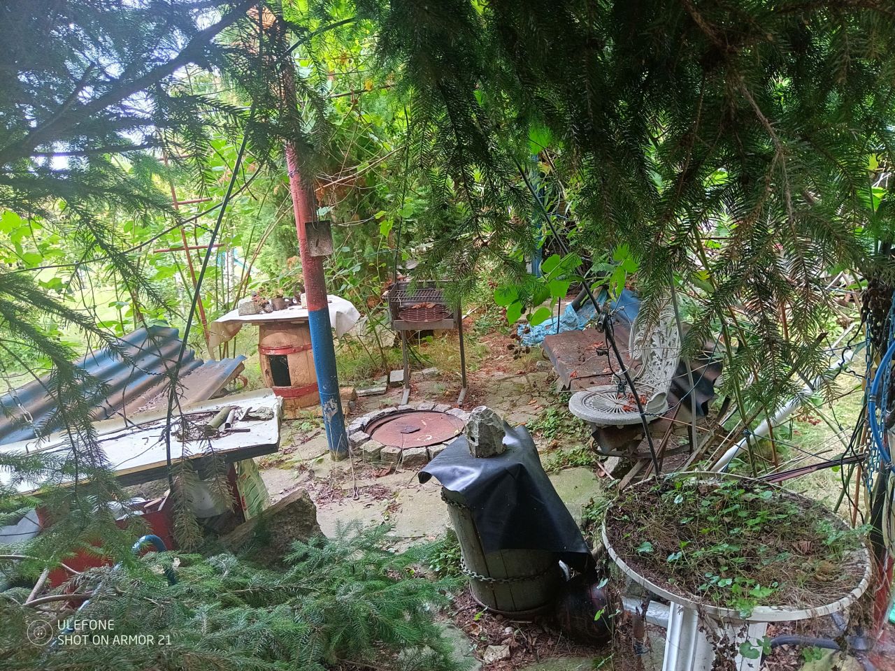 Działka rod Grzybiany, ul. Koskowicka. Zdjęcie 8