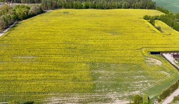 Działka budowlana Skrzynki
