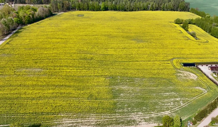 Działka budowlana Skrzynki
