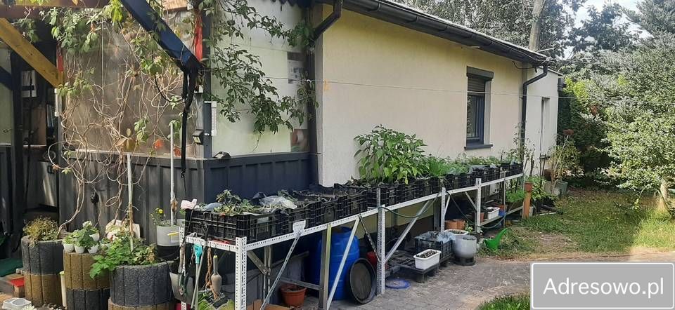 dom wolnostojący Tuszyn, ul. Młynkowa. Zdjęcie 4