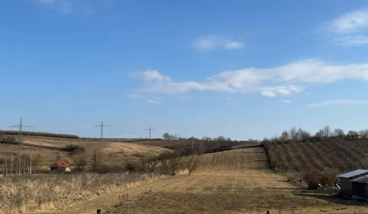 Działka budowlana Rzeczyca Mokra, Rzeczyca Mokra