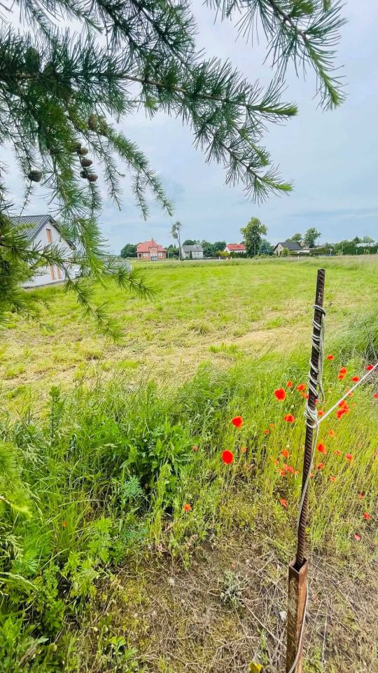 Działka budowlana Sulnowo. Zdjęcie 5