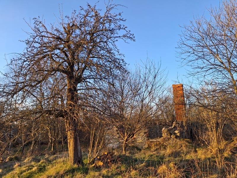 Działka budowlana Wolimierz. Zdjęcie 6
