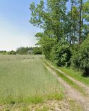 Działka budowlana Żyrardów Teklin