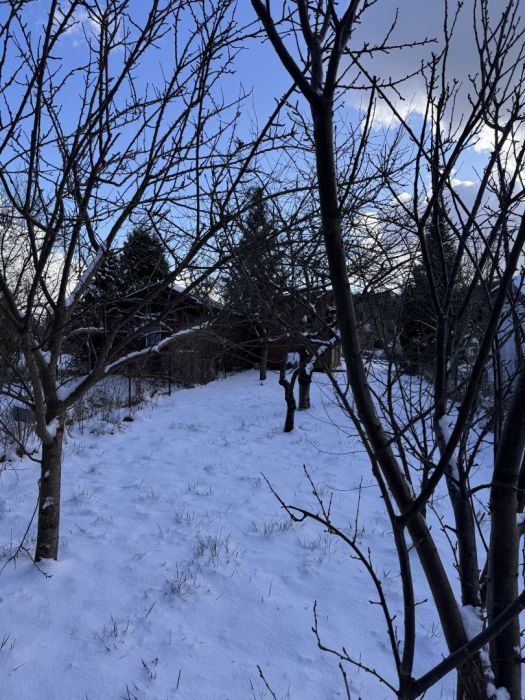 Działka rod Sopot, ul. Mikołaja Reja. Zdjęcie 6