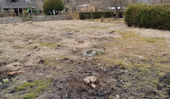 Działka rod Piła, ul. Różyckiego