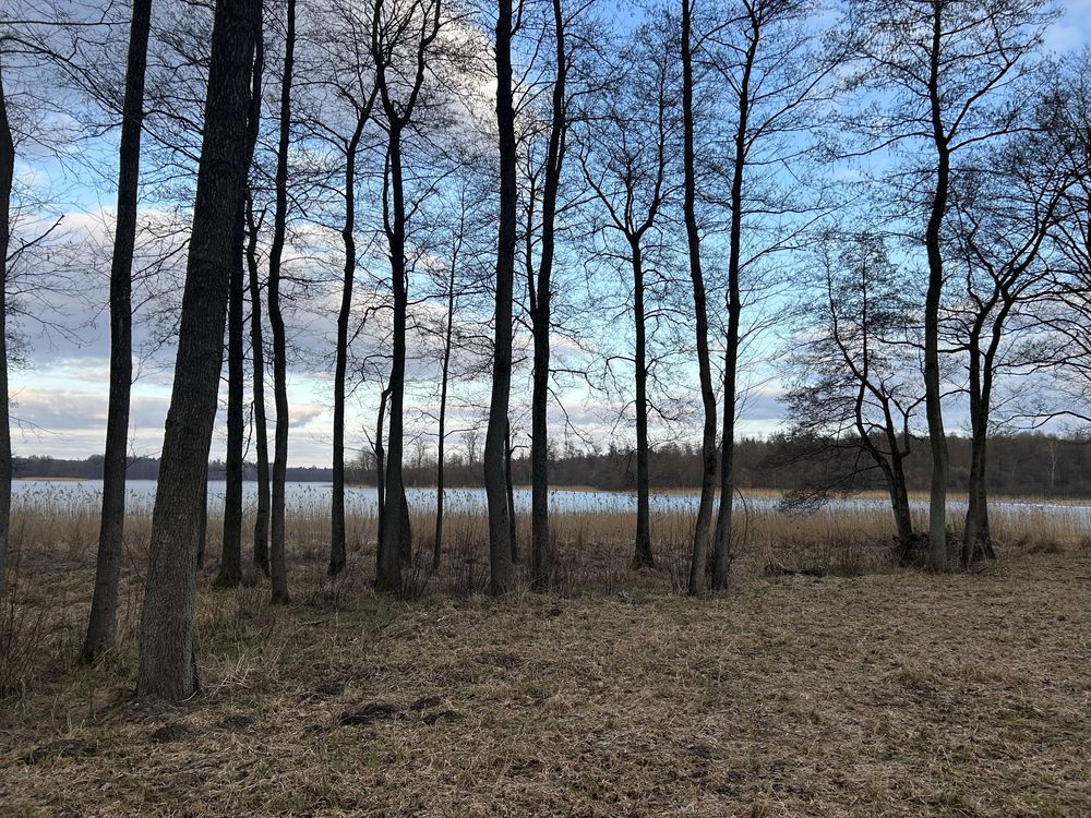 Działka Sople. Zdjęcie 7