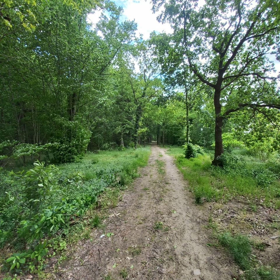 dom wolnostojący, 4 pokoje Gubin, ul. Widok. Zdjęcie 22